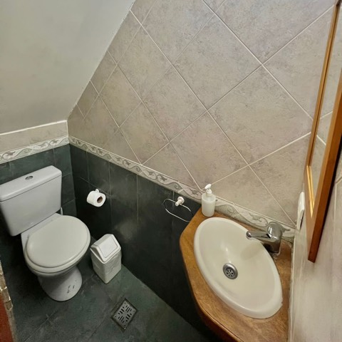 Toilette en planta baja
